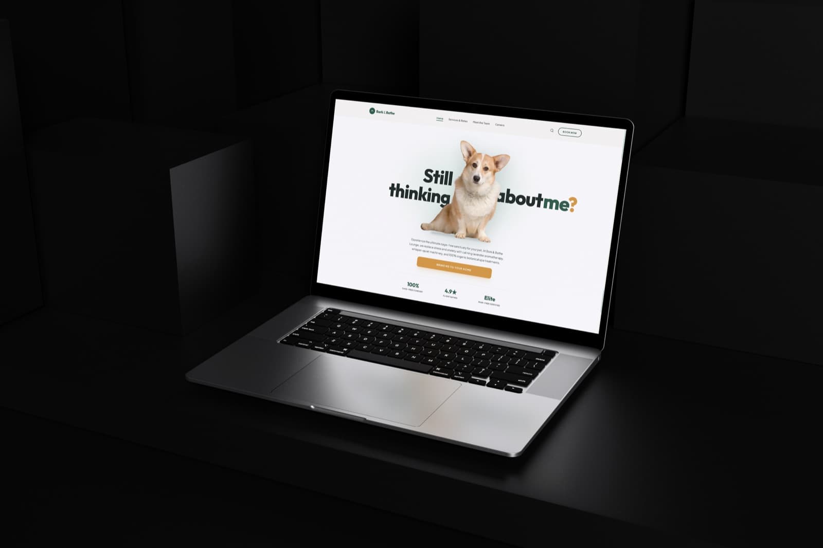 Bark & Bathe Lounge